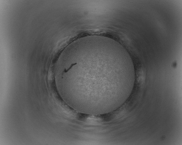 X0000112090515200908111357