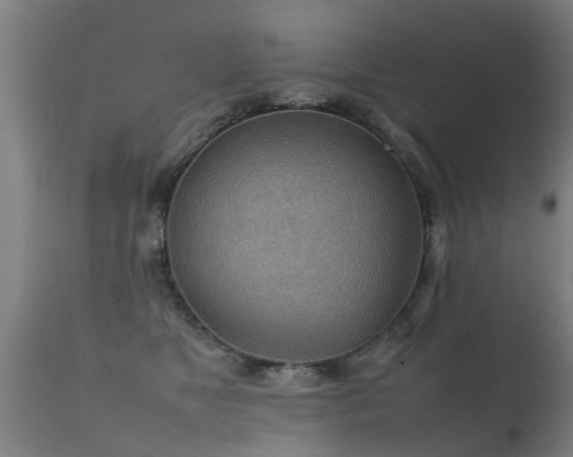 X0000112090517200908111357