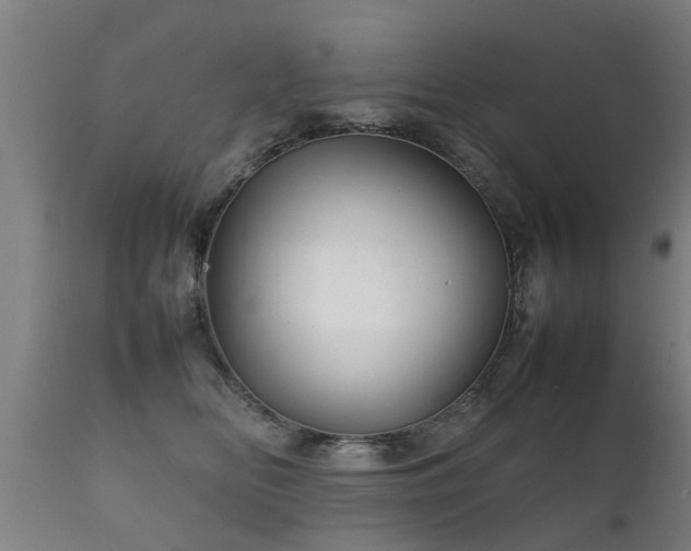 X0000112090518200908111357