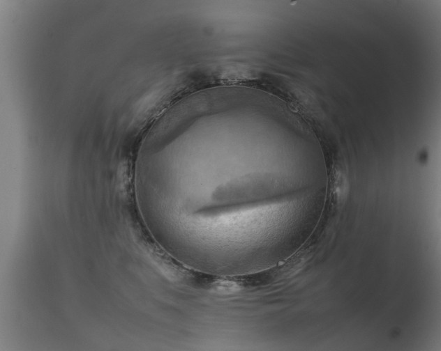 X0000112090519200908111357