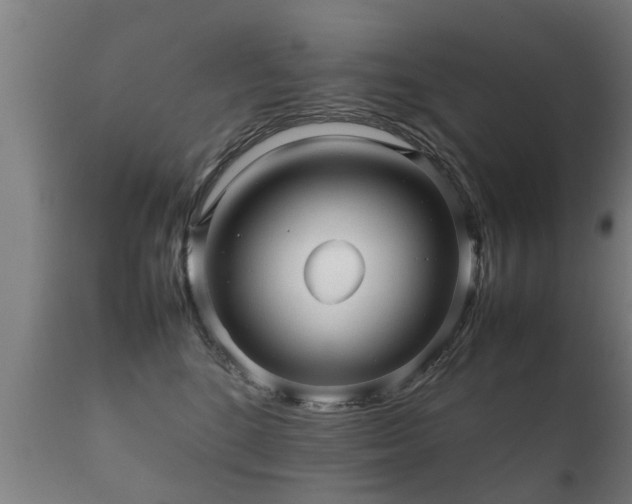 X0000112090520200908111357