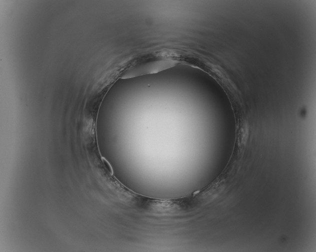 X0000112090521200908111357