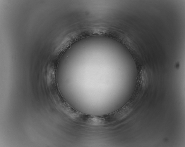 X0000112090522200908111357