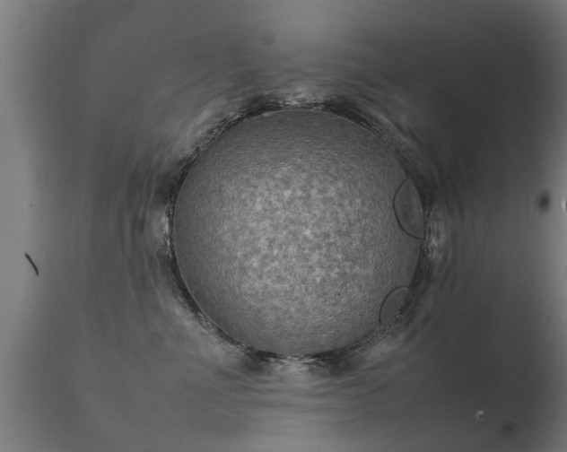 X0000112090523200908111357