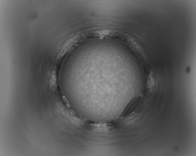 X0000112090524200908111357