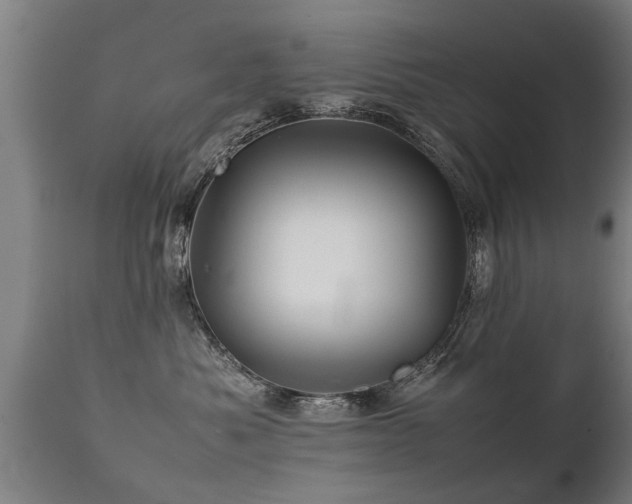 X0000112090525200908111357