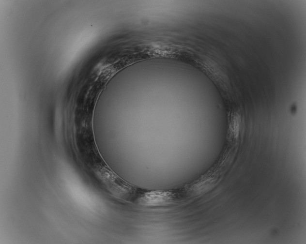 X0000112090526200908111357