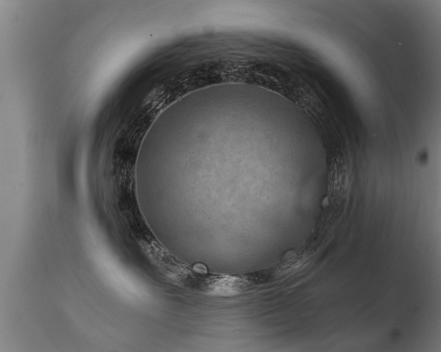 X0000112090527200908111357