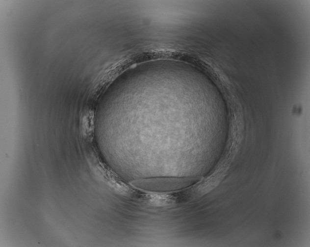 X0000112090528200908111357