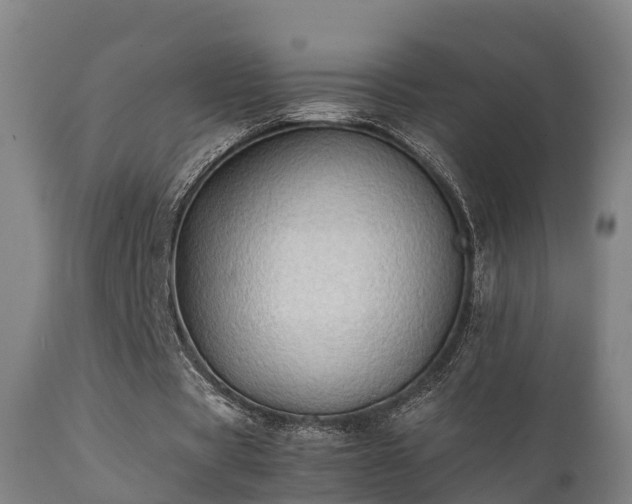 X0000112090529200908111355