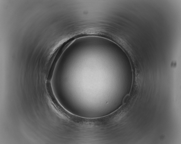 X0000112090530200908111355