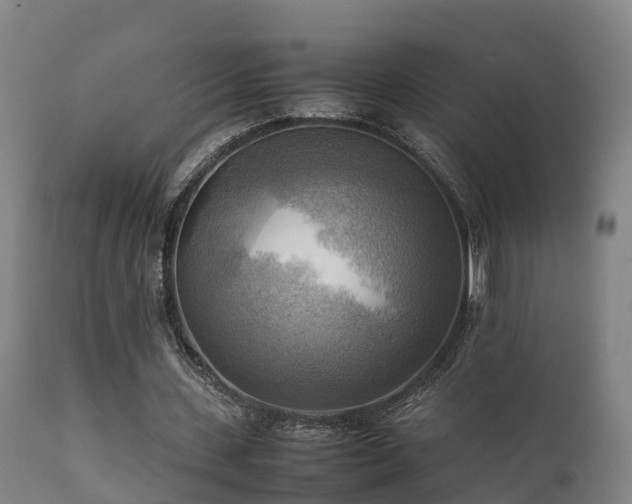 X0000112090531200908111355