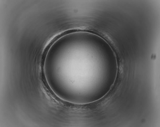 X0000112090532200908111355