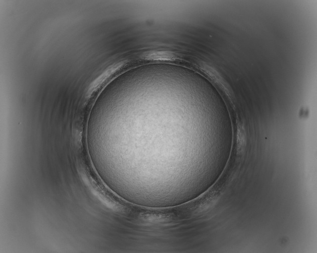 X0000112090533200908111355