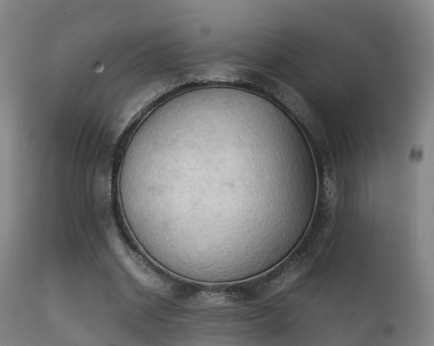 X0000112090534200908111355