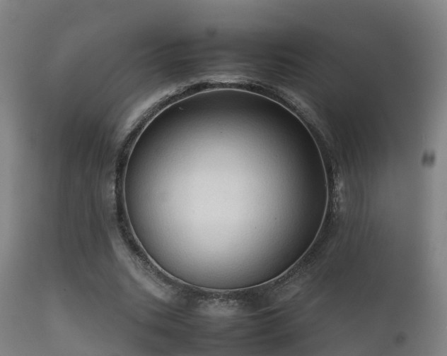 X0000112090535200908111356