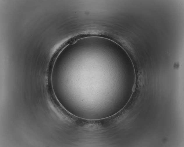 X0000112090536200908111356