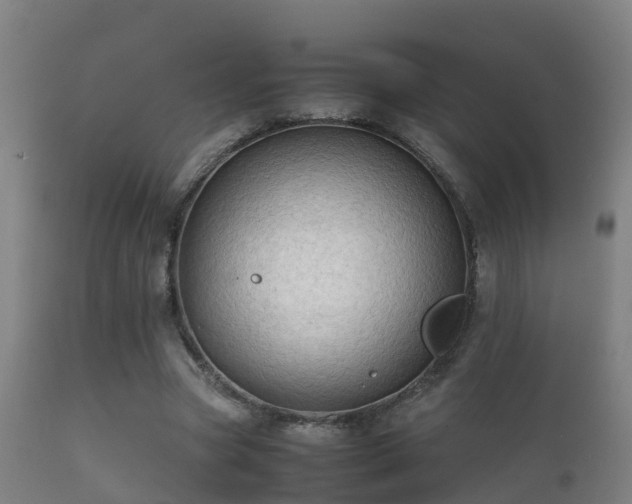 X0000112090537200908111356