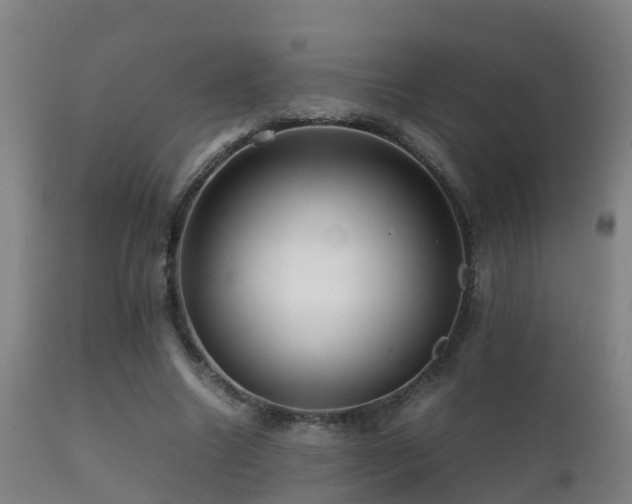 X0000112090538200908111356