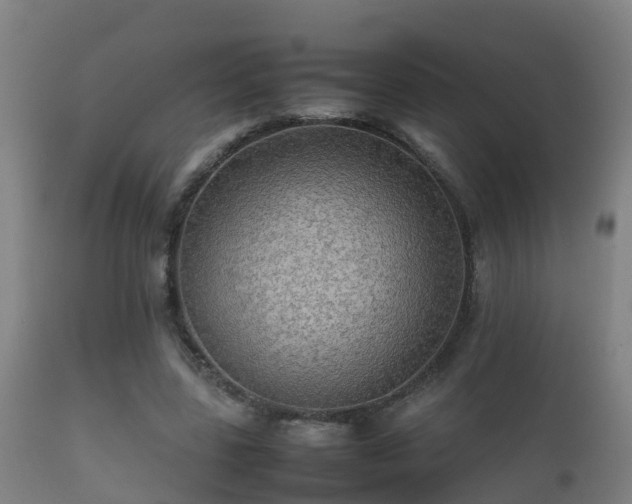 X0000112090539200908111356