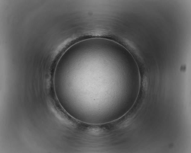 X0000112090540200908111356