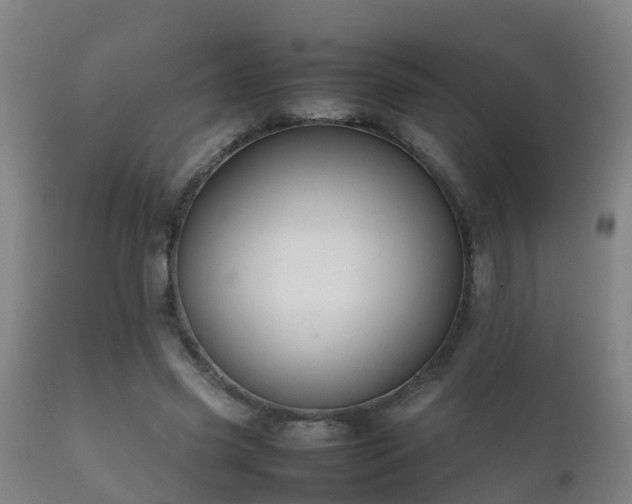 X0000112090541200908111356