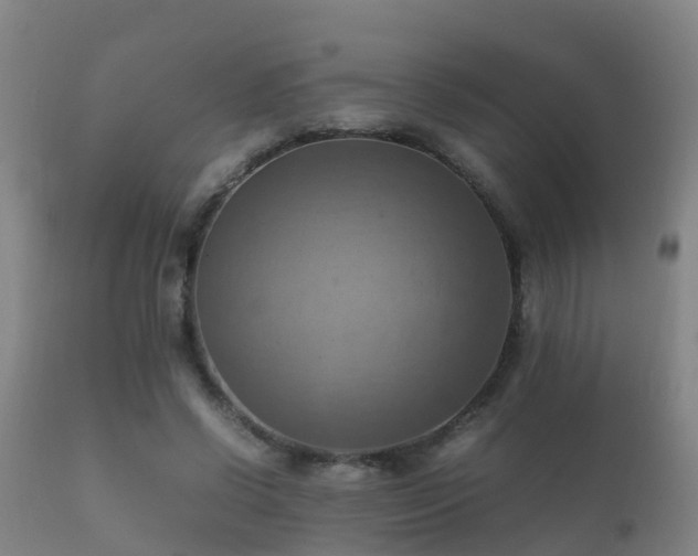 X0000112090542200908111356