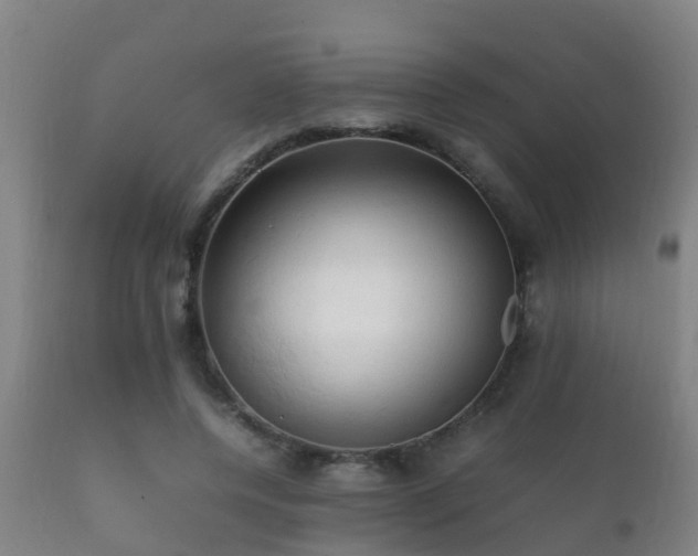 X0000112090544200908111356