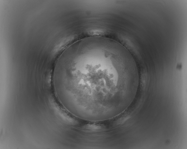 X0000112090545200908111356