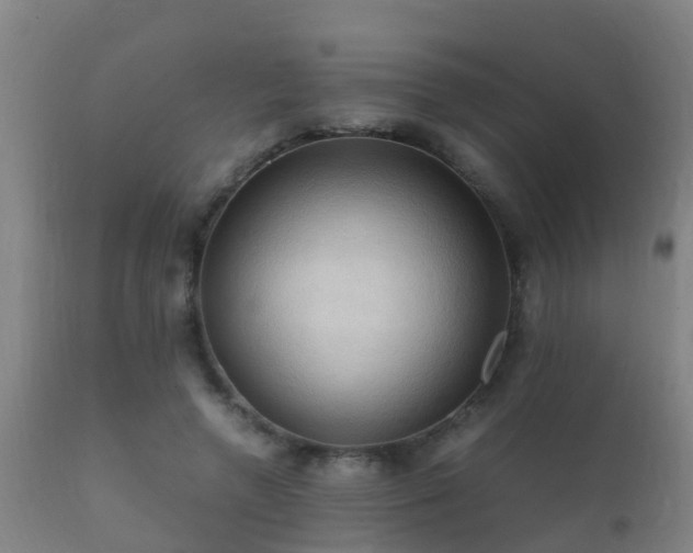 X0000112090546200908111356