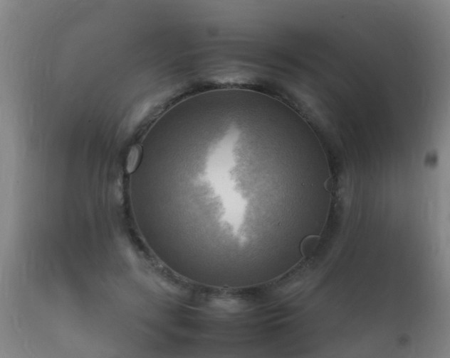 X0000112090547200908111356