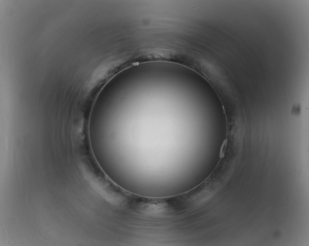 X0000112090548200908111356