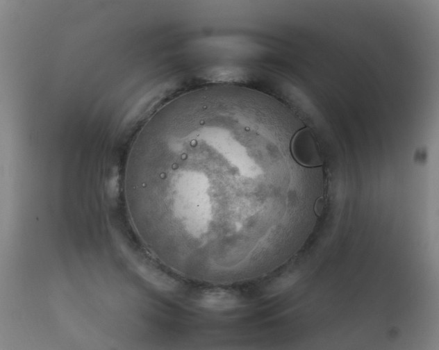 X0000112090549200908111356