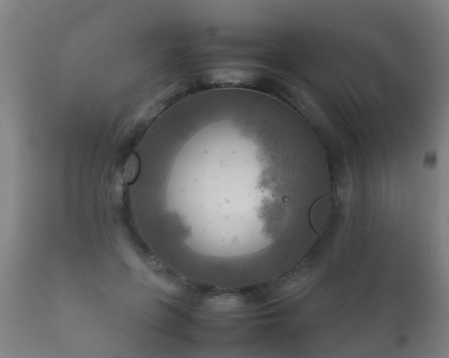 X0000112090551200908111356