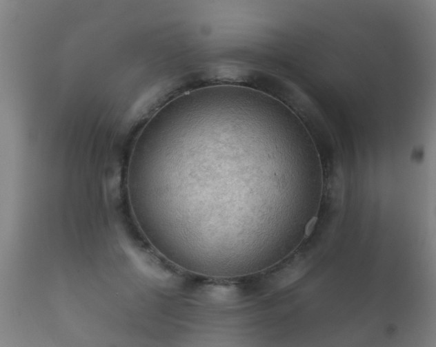 X0000112090552200908111356