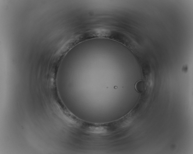 X0000112090553200908111356