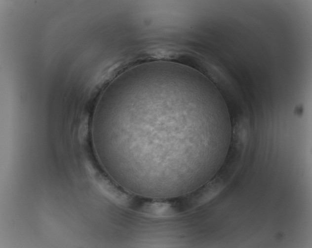 X0000112090554200908111356