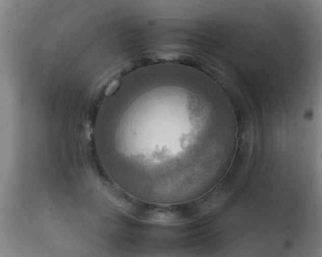 X0000112090555200908111356