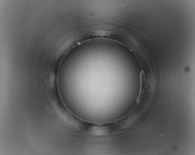 X0000112090556200908111356