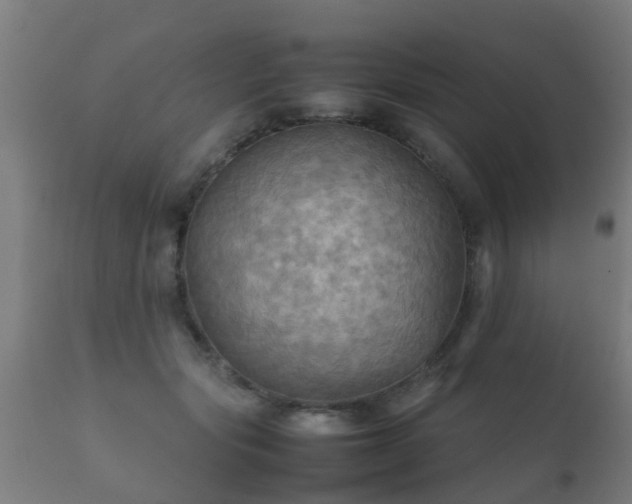 X0000112090557200908111356