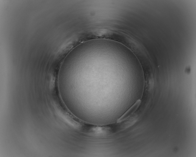 X0000112090558200908111356