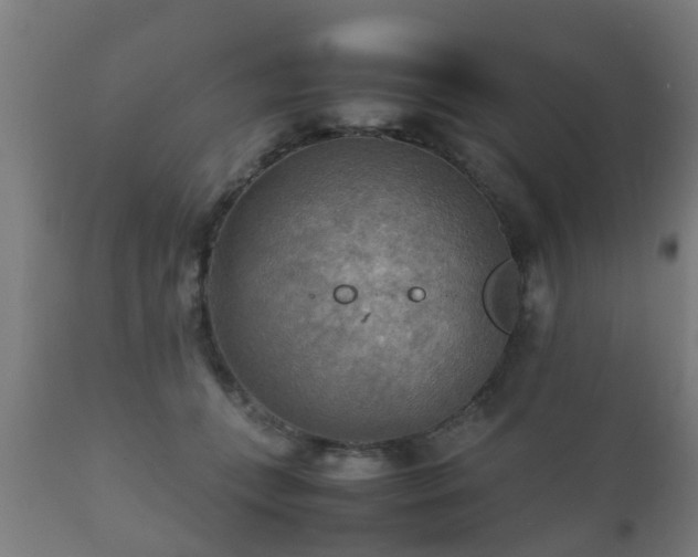 X0000112090559200908111356