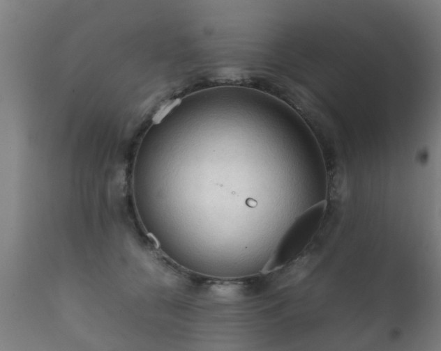 X0000112090560200908111356