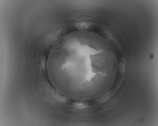 X0000112090561200908111356