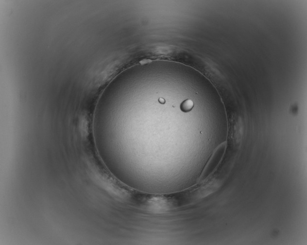 X0000112090562200908111356