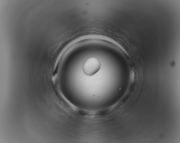 X0000112090564200908111356