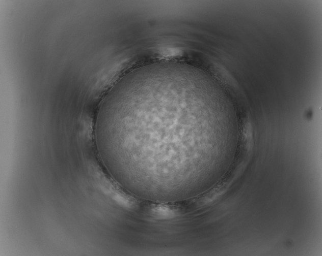 X0000112090565200908111356