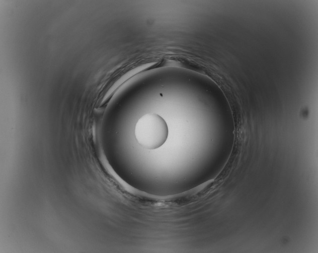 X0000112090566200908111356