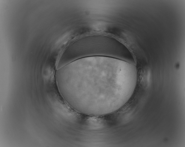 X0000112090568200908111356