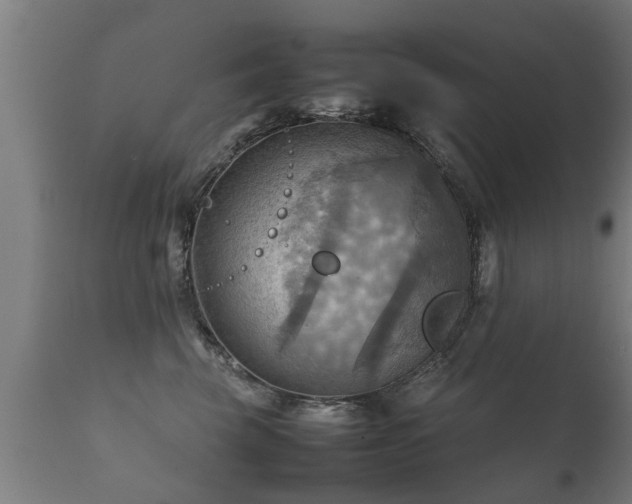 X0000112090569200908111356